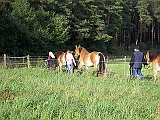 Bild 030